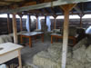 Коломенская музейная фабрика пастилы,Коломенская пастила,Коломна сегодня,официальный сайт города Коломна