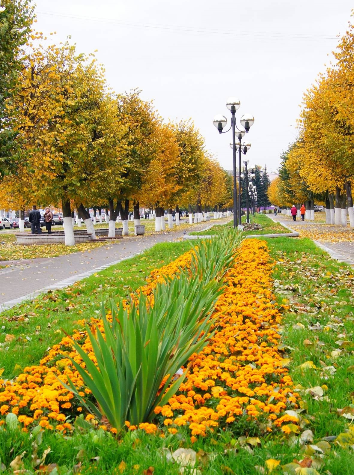 Погода в коломне